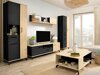 Table basse Omaha S113 (Noir + Chêne clair)
