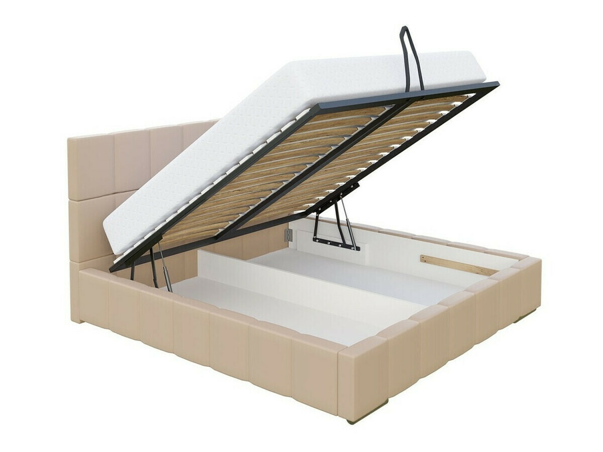 Lit Baltimore 120 (Rico 11)