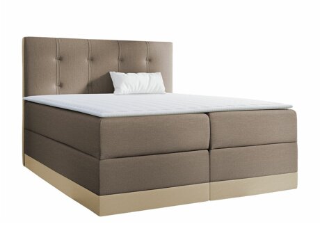 Lit continental Baltimore 139 (Kameleon 04 + Kameleon 15)