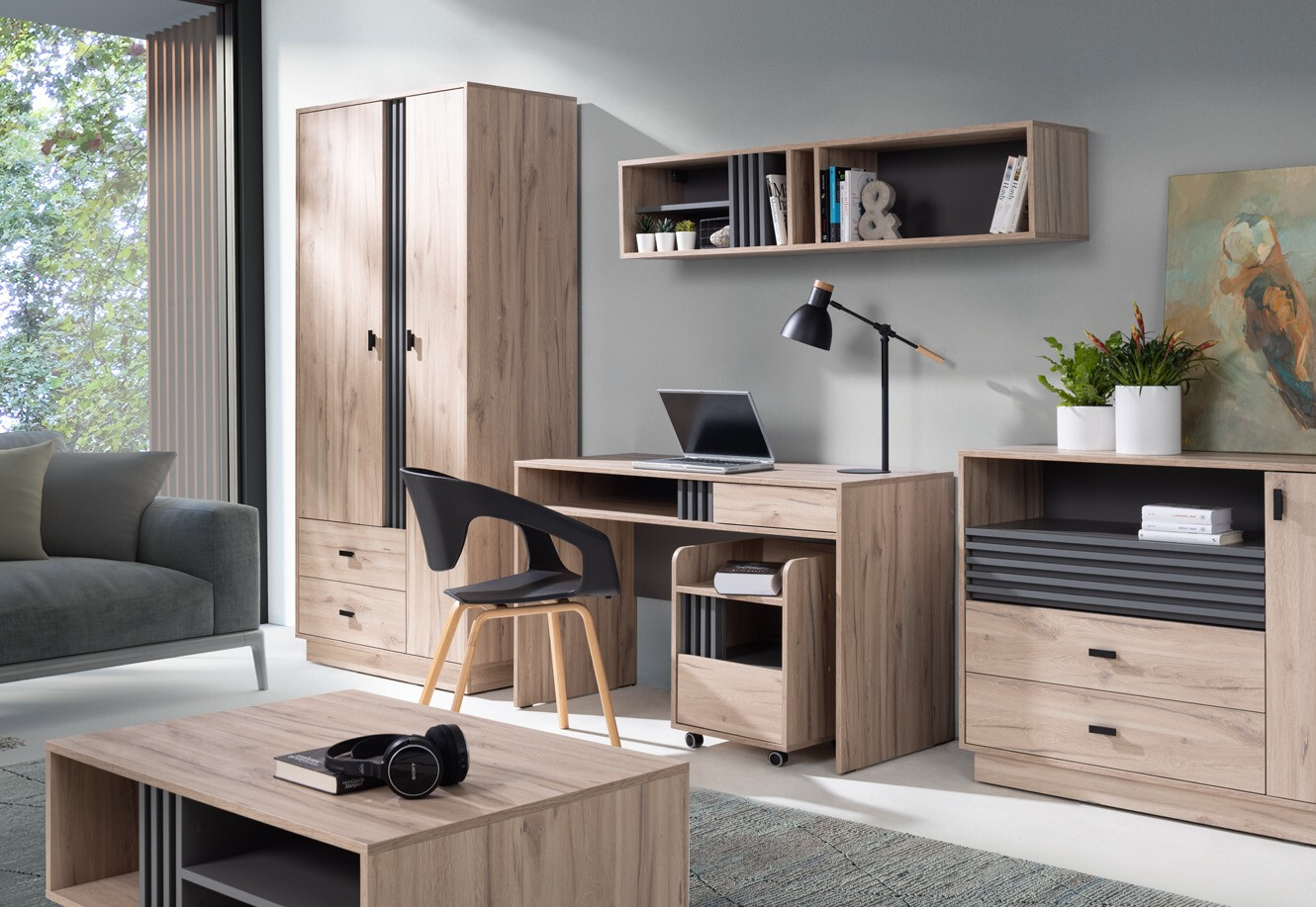 Armoire Livlevo 101