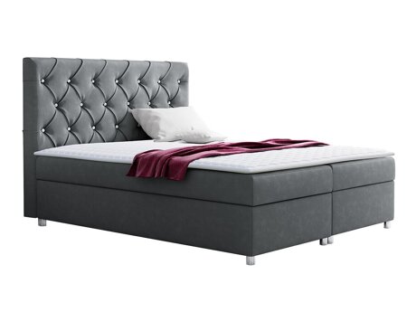 Lit continental Baltimore 112 (Primo 8804)