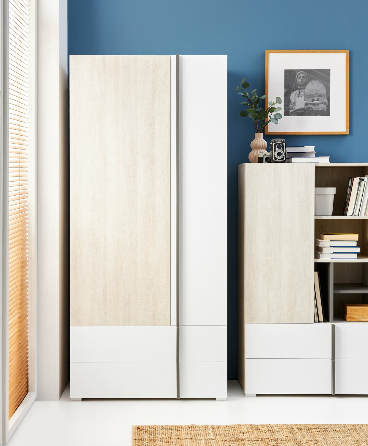Armoire Ferlore 101
