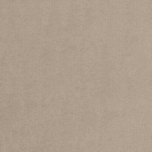 Lit TrendyNest Pelagia (Manila 02)