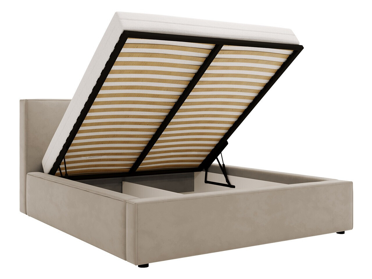 Lit TrendyNest Pelagia (Manila 02)