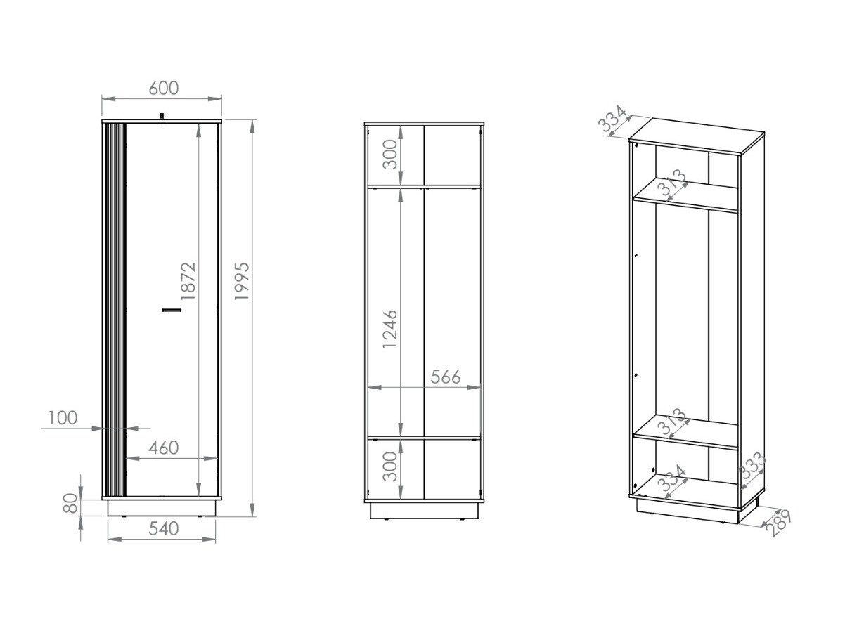 Armoire Revcire 100