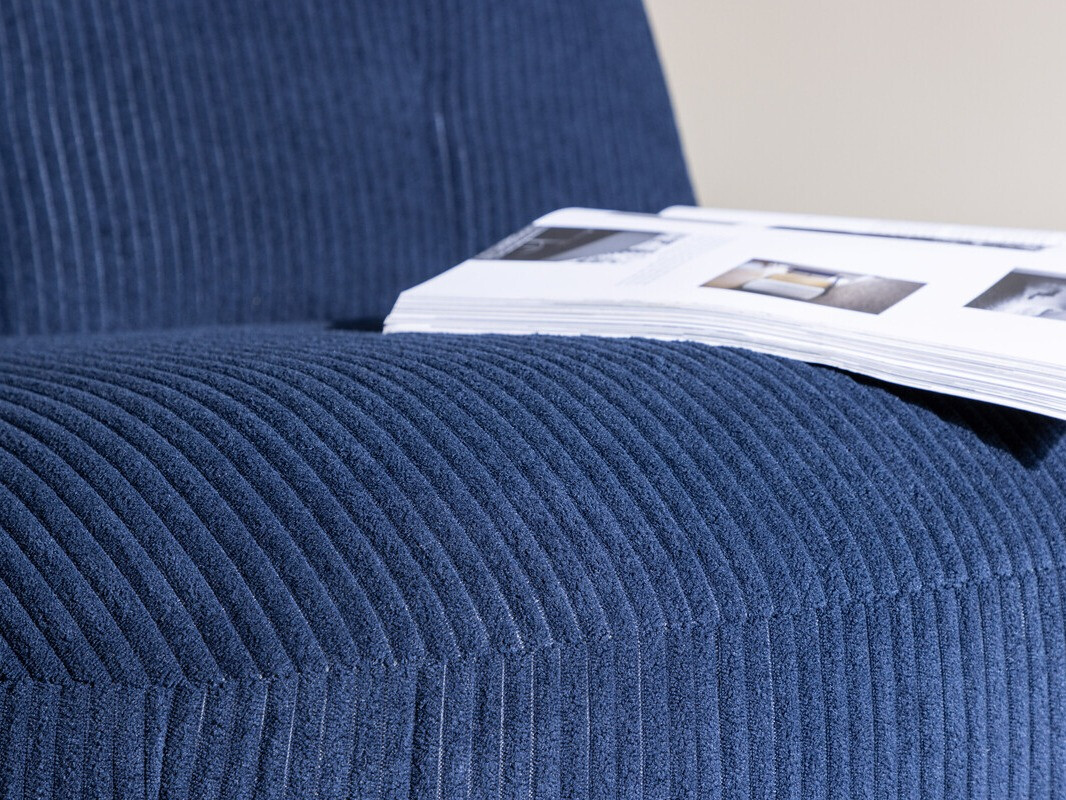 Fauteuil Dallas 4484 (Bleu)