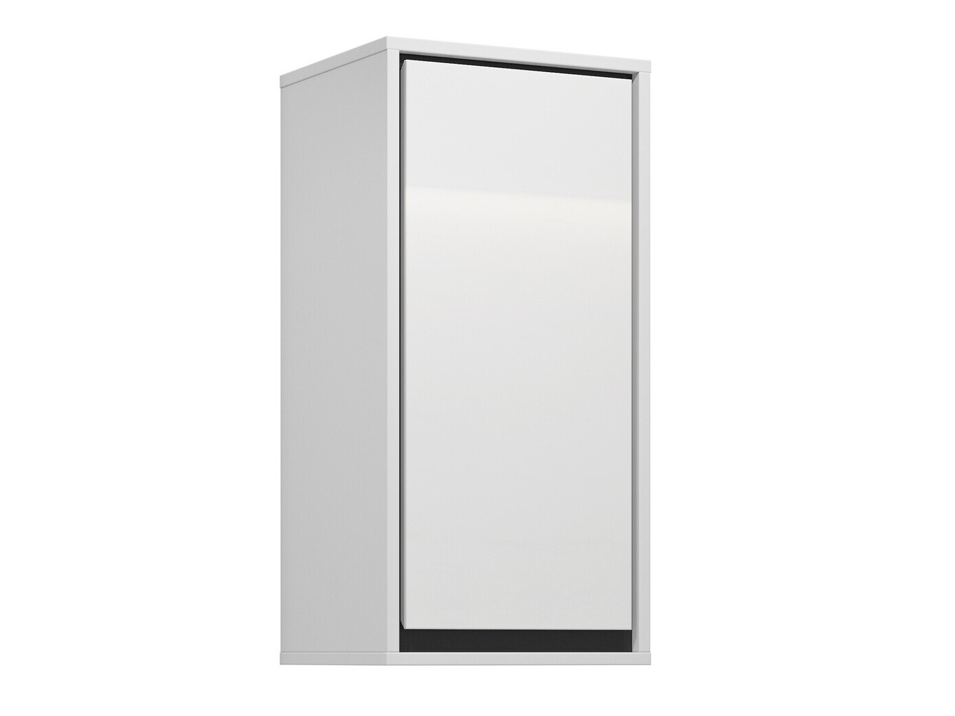 Armoire de salle de bain murale Tecavu 100 (Blanc brillant + Blanc)