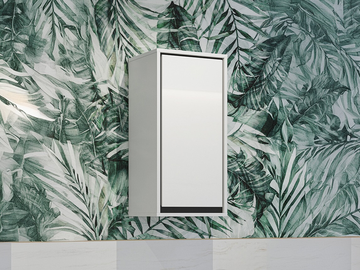 Armoire de salle de bain murale Tecavu 100 (Blanc brillant + Blanc)