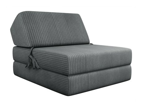 Fauteuil Comfivo 120 (Poso 22)