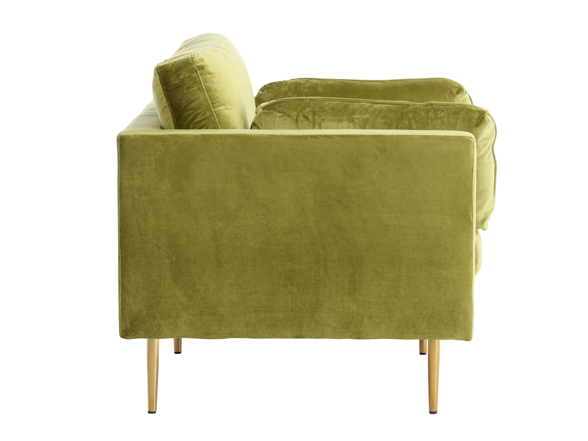 Fauteuil Dallas 100 (Vert + Marron)