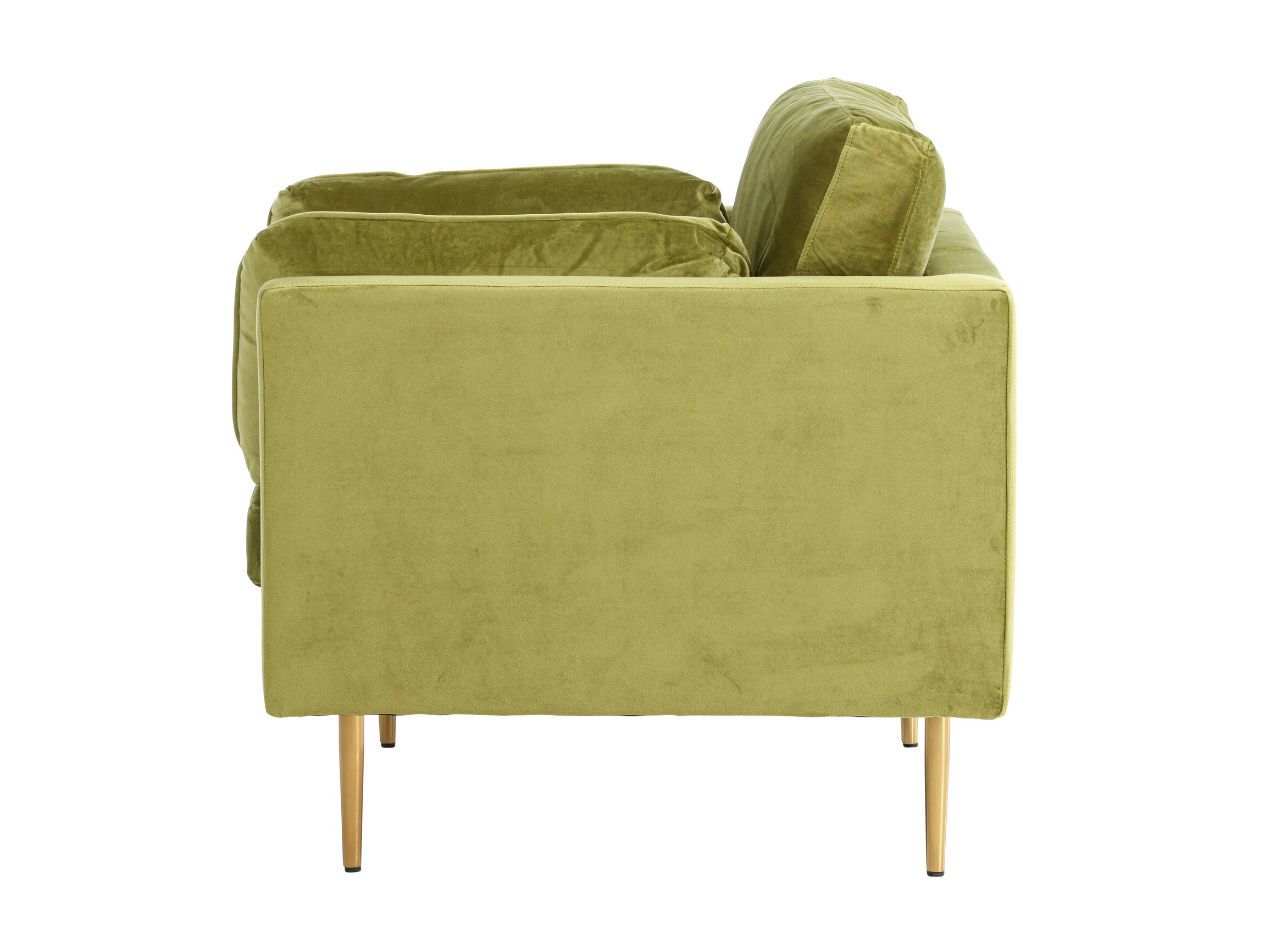 Fauteuil Dallas 100 (Vert + Marron)