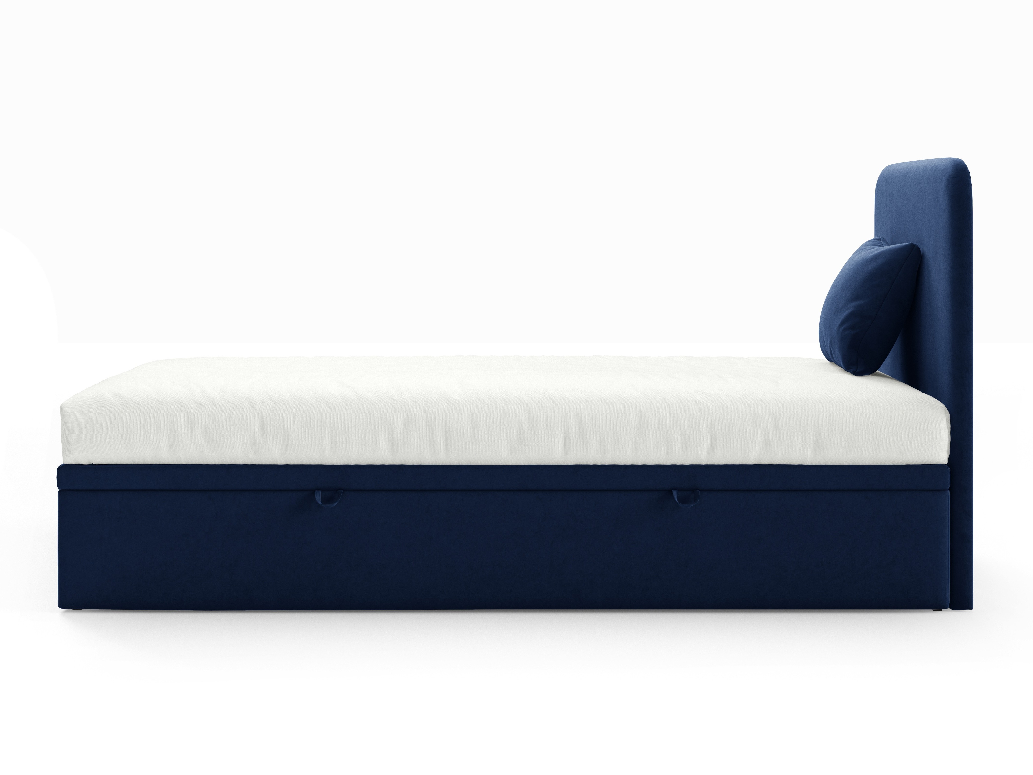 Lit Franklin 177 (Royal Velvet 14)