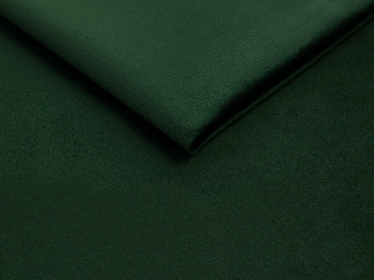 Lit Baltimore 202 (Fresh 13)