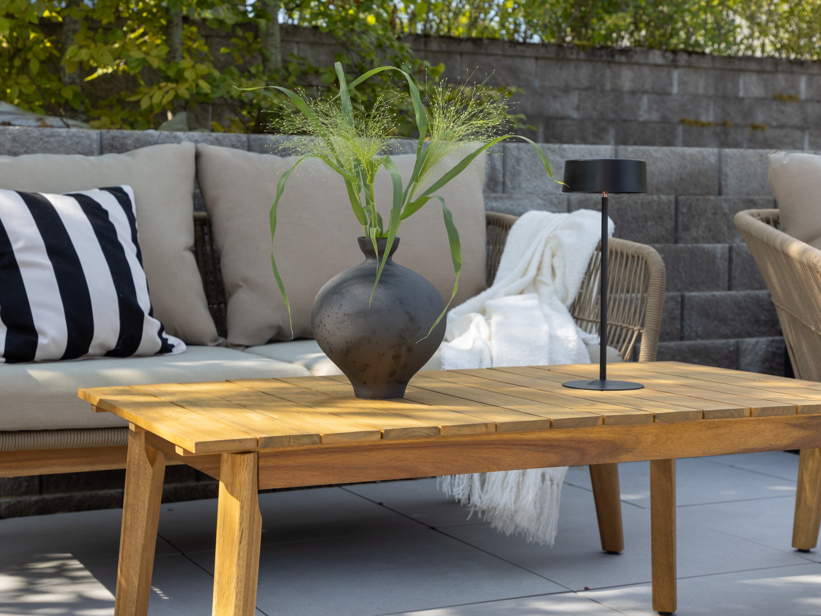 Ensemble de mobilier de jardin Dallas 661 (Beige clair + Acacia)