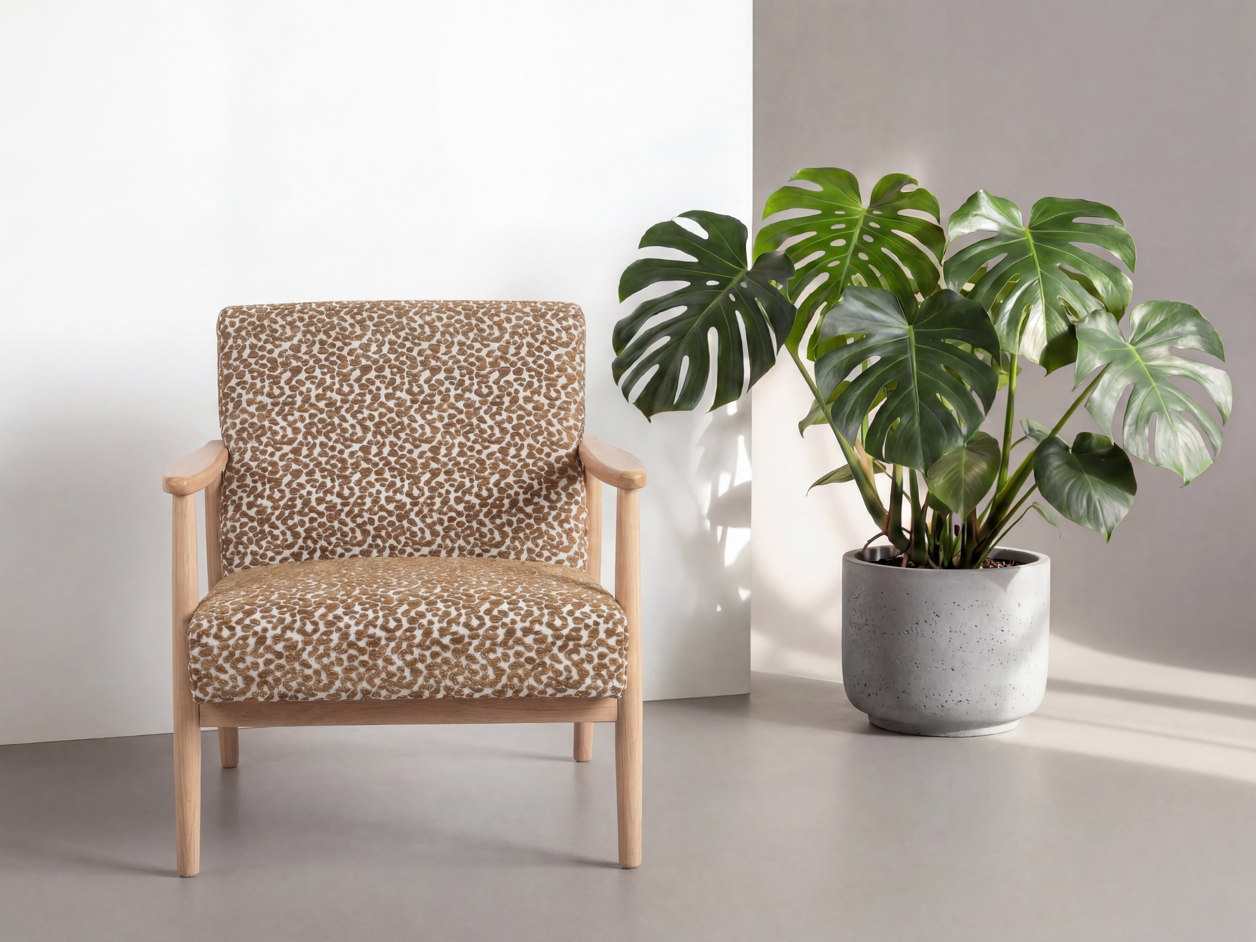 Fauteuil Dallas 5146