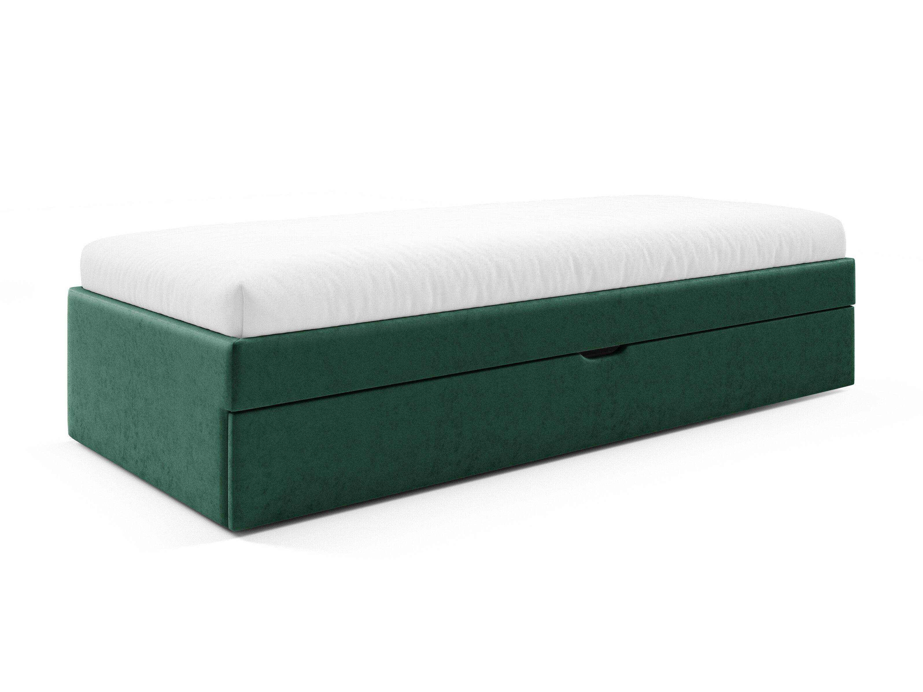 Lit Franklin 229 (Magic Velvet 2225)