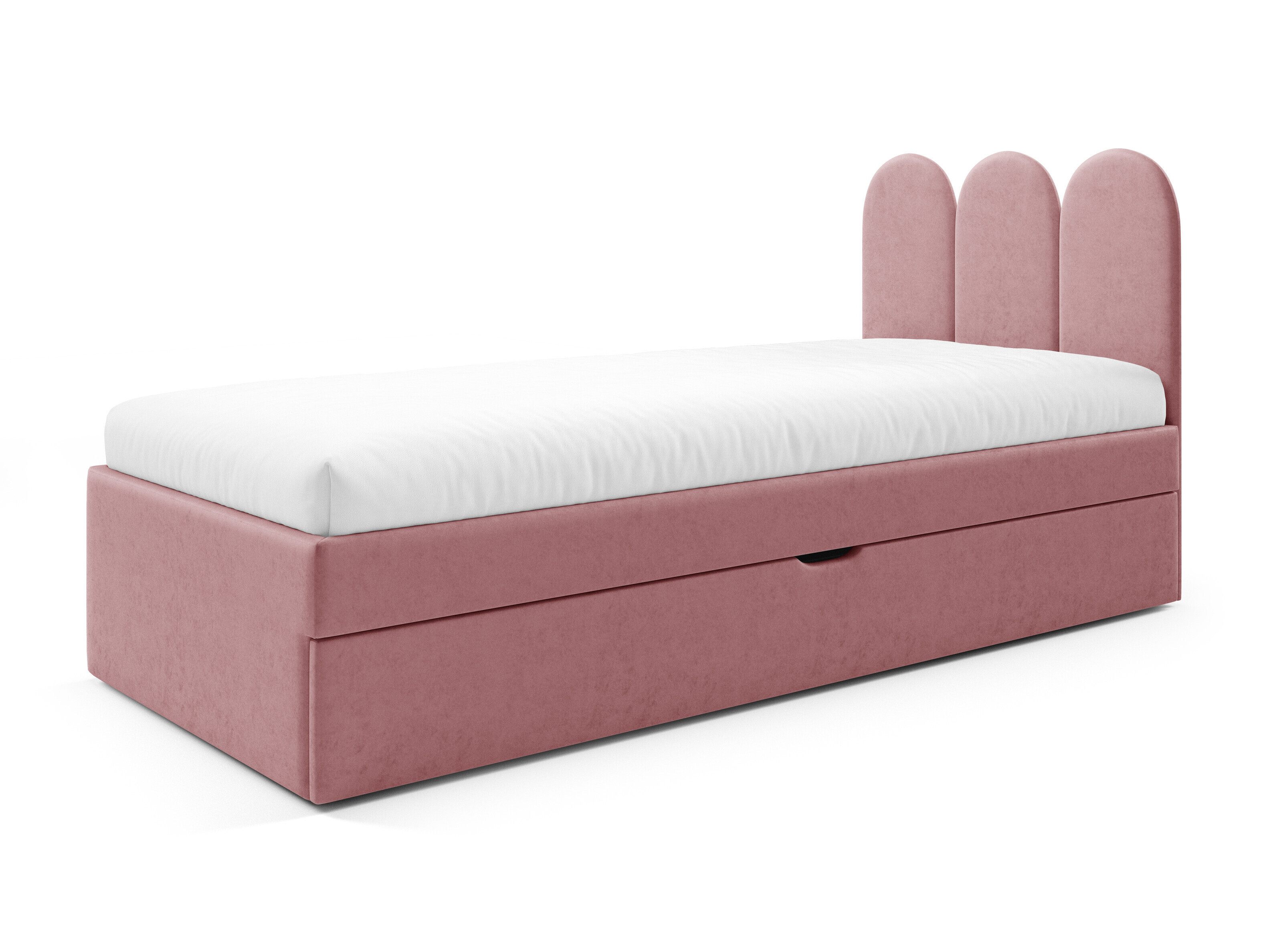 Lit Franklin 231 (Magic Velvet 2258)