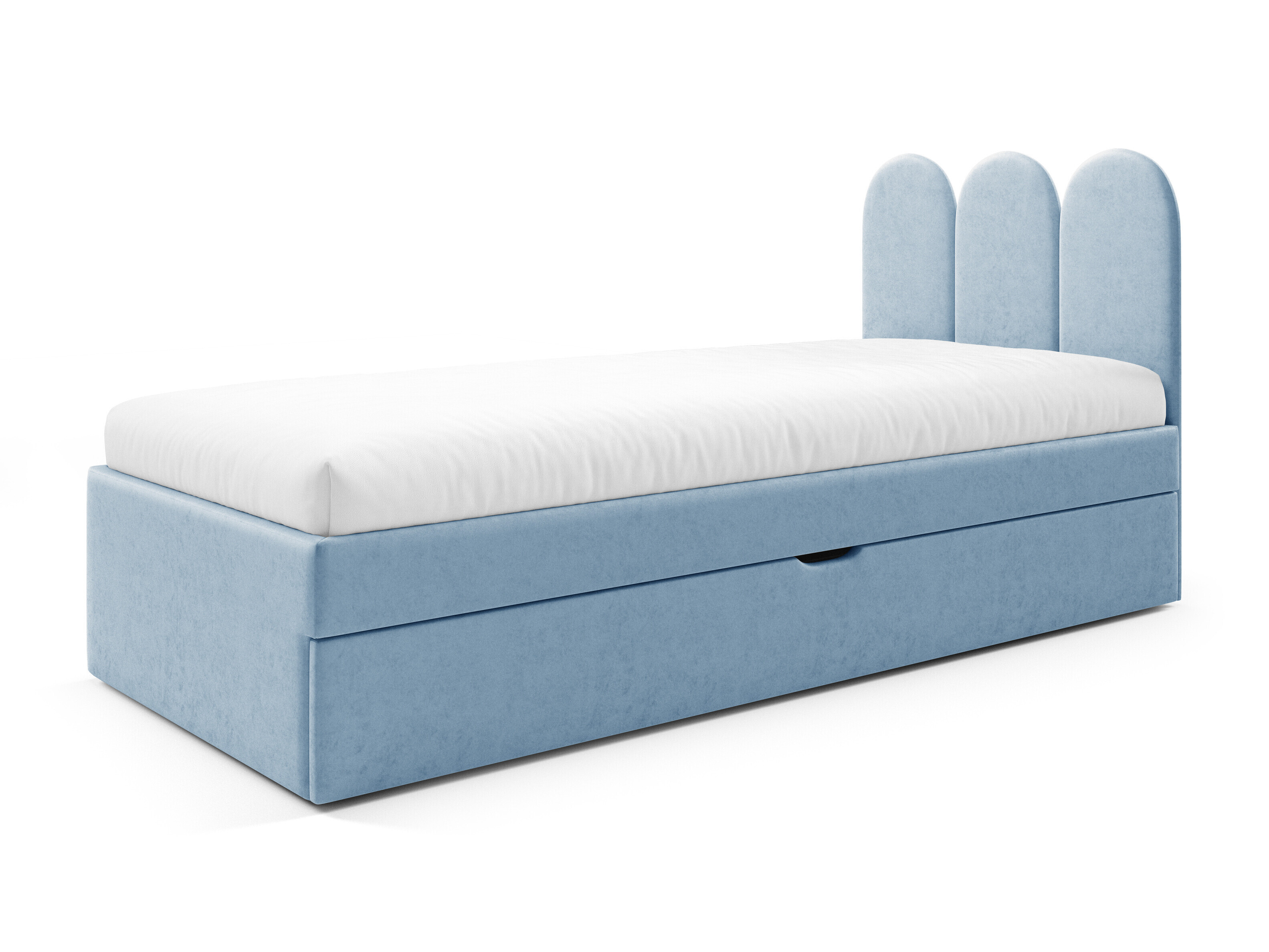 Lit Franklin 231 (Magic Velvet 2260)