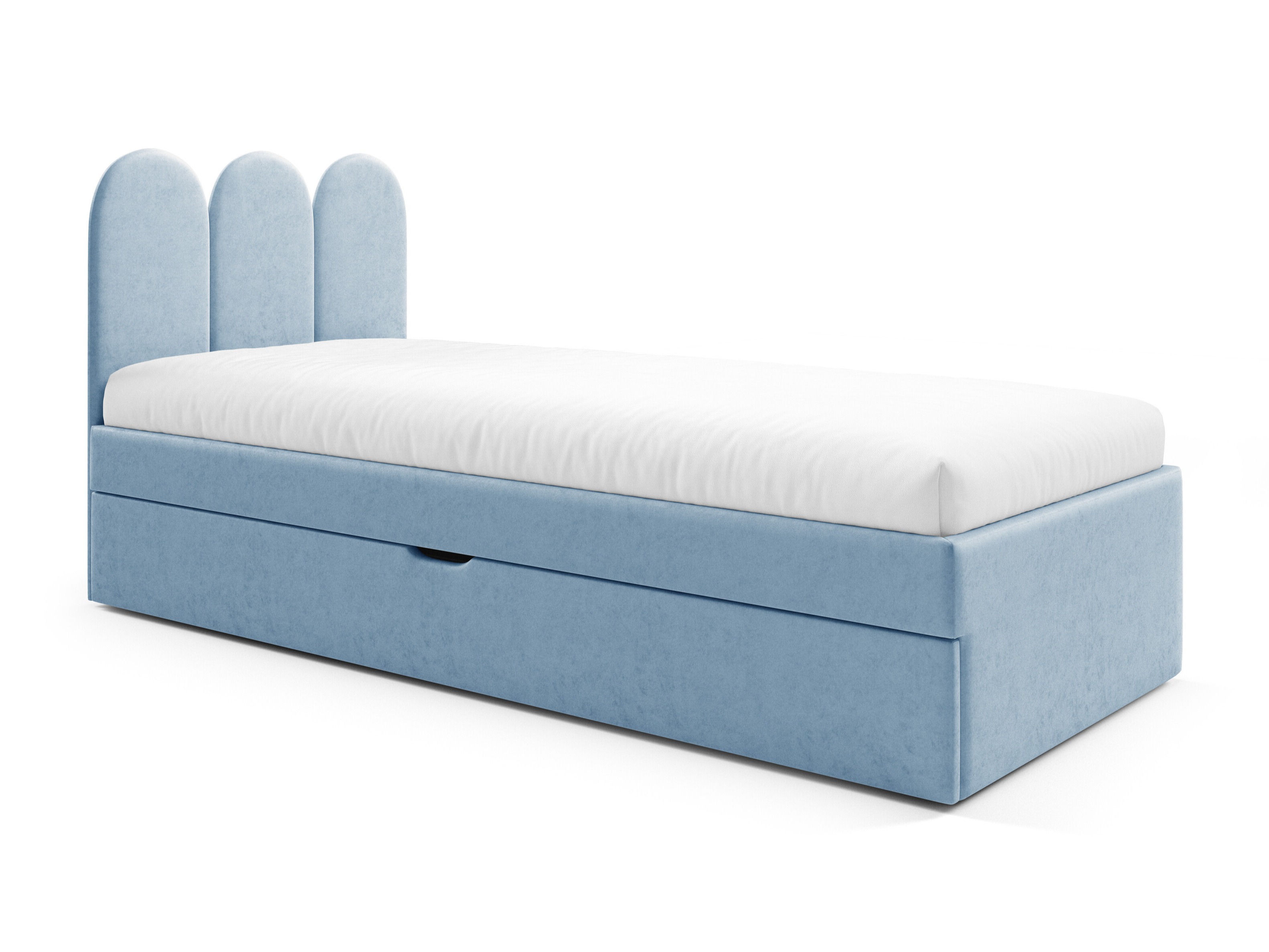 Lit Franklin 231 (Magic Velvet 2260)