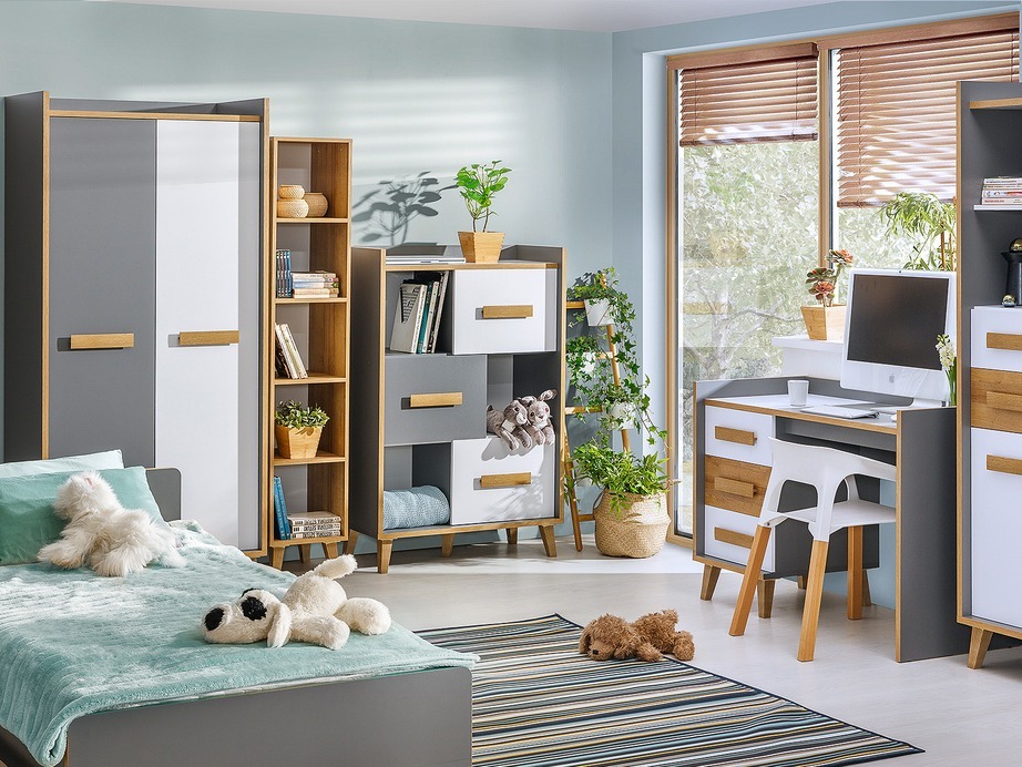 Armoire Oderevu 100